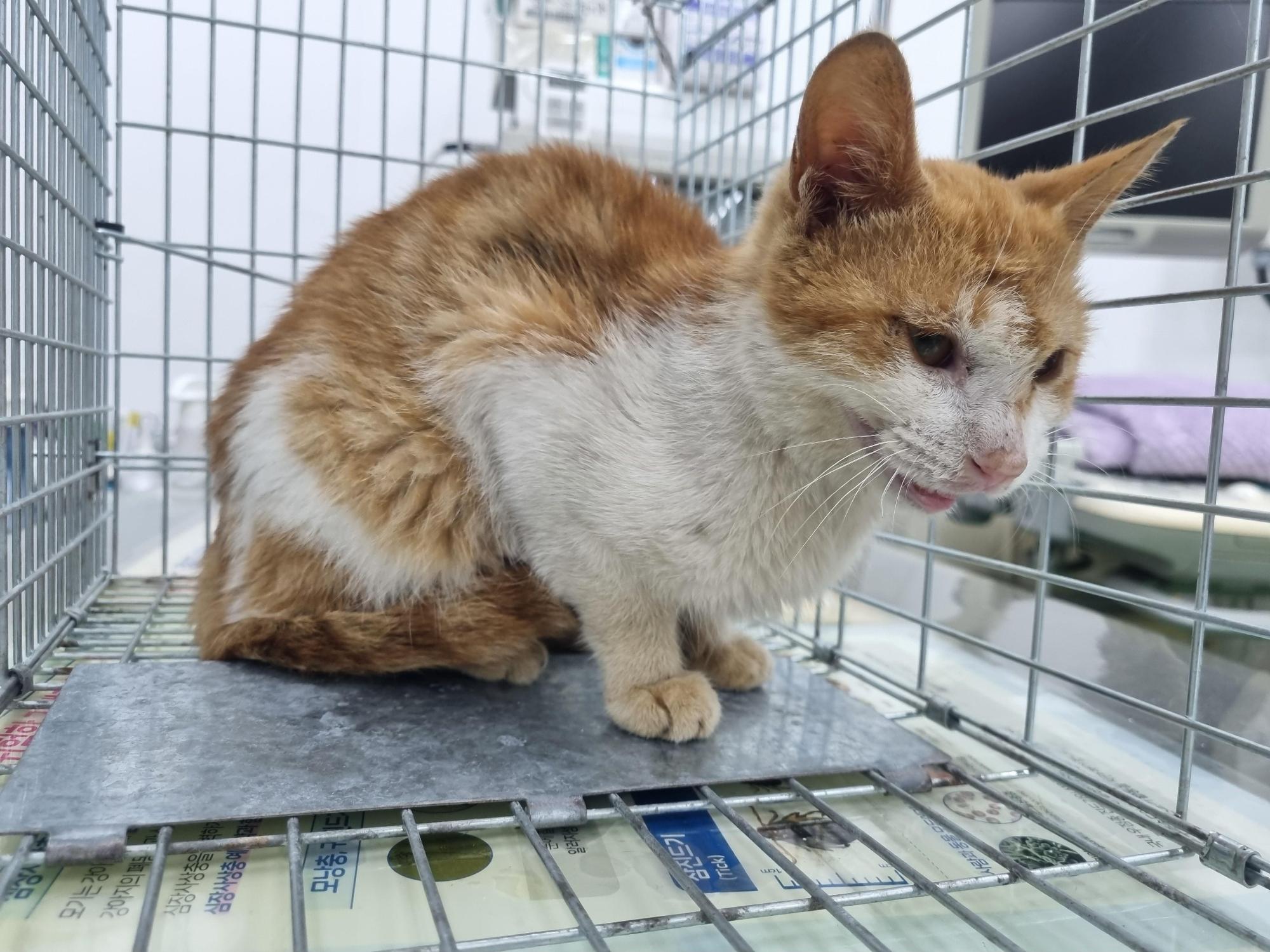 종료(방사) 한국 …